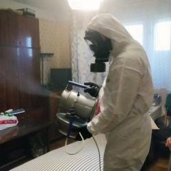 Дезинфекция от клопов в Дальнереченске