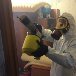 Уничтожение клопов в квартире. Дальнереченск